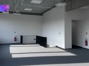 Pronájem obchodního prostoru, Brno - Černovice, 439 m2