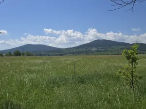 Prodej pozemku pro bydlení, Horní Stropnice, 7197 m2