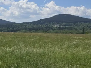Prodej pozemku pro bydlení, Horní Stropnice, 7197 m2