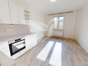 Pronájem bytu 2+kk, Plzeň, Božkovská, 60 m2