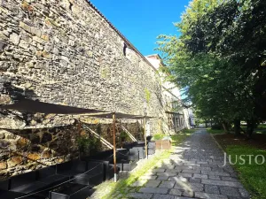 Pronájem restaurace, Písek - Vnitřní Město, V Koutě, 230 m2