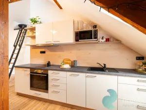 Prodej vícegeneračního domu, České Budějovice, Fr. Hrubína, 212 m2