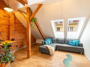 Prodej vícegeneračního domu, České Budějovice, Fr. Hrubína, 212 m2