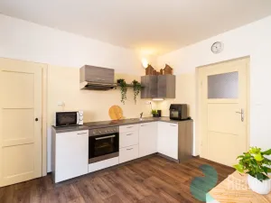 Prodej vícegeneračního domu, České Budějovice, Fr. Hrubína, 212 m2