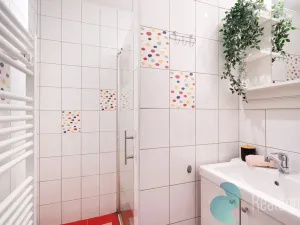 Prodej vícegeneračního domu, České Budějovice, Fr. Hrubína, 212 m2