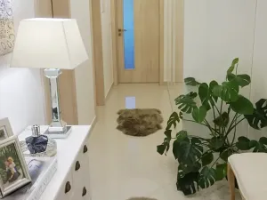 Prodej bytu 2+kk, Praha - Žižkov, Olšanská, 62 m2