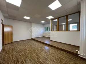 Pronájem kanceláře, Praha - Krč, Nová cesta, 122 m2