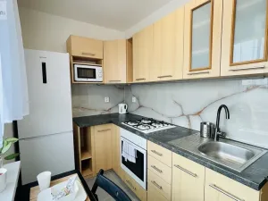 Prodej bytu 2+1, Ostrava, Horní, 42 m2