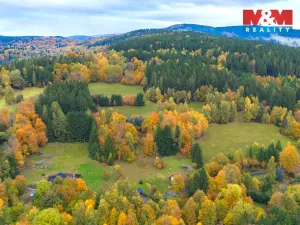 Prodej louky, Tanvald - Šumburk nad Desnou, 2029 m2