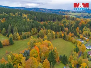 Prodej louky, Tanvald - Šumburk nad Desnou, 2029 m2