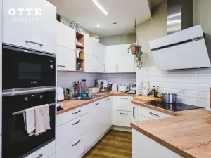 Pronájem rodinného domu, Plzeň, Rozkvetlá, 140 m2