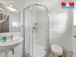 Prodej ubytování, Čenkovice, 297 m2