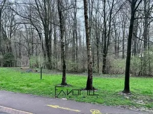 Pronájem bytu 1+1, Ostrava, Jičínská, 38 m2