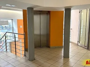 Pronájem obchodního prostoru, Brno - Brno-město, 2500 m2