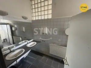 Pronájem výrobních prostor, Prostějov, Olomoucká, 128 m2