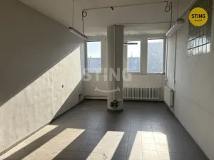 Pronájem výrobních prostor, Prostějov, Olomoucká, 128 m2