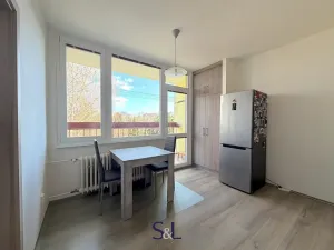 Pronájem bytu 1+1, Liberec, Jáchymovská, 34 m2