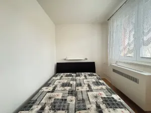 Pronájem bytu 1+1, Brno, Vídeňská, 43 m2