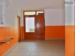 Prodej bytu 1+1, Ústí nad Labem - Severní Terasa, Ladova, 37 m2