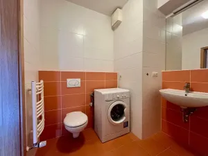 Pronájem bytu 1+kk, Praha - Žižkov, Baranova, 35 m2