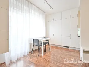Pronájem bytu 1+kk, Brno, U Leskavy, 38 m2