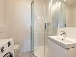 Pronájem bytu 1+kk, Praha - Nusle, V Horkách, 17 m2