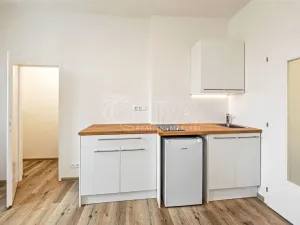Pronájem bytu 1+kk, Praha - Nusle, V Horkách, 17 m2