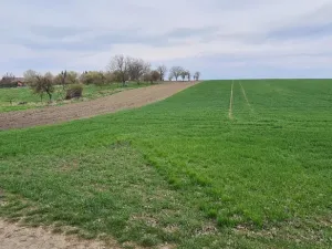 Prodej pozemku pro bydlení, Jiříkovice, Spáčilka, 1854 m2