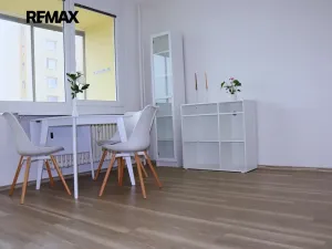 Pronájem bytu 1+kk, Plzeň, Plaská, 27 m2