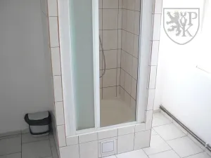 Prodej ubytování, Varvažov - Štědronín-Plazy, 1540 m2