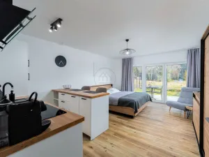 Prodej bytu 1+kk, Lipno nad Vltavou, 105 m2