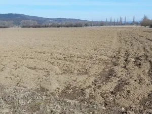 Prodej pole, Všeradice, 42604 m2