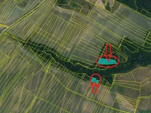 Prodej podílu lesa, Výrovice, 1459 m2