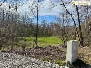Prodej pozemku pro bydlení, Libina, 8112 m2