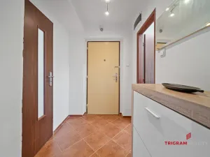 Prodej bytu 2+1, Pardubice - Zelené Předměstí, Wolkerova, 50 m2