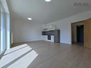 Pronájem bytu 1+kk, Benešov, 102. pluku, 38 m2