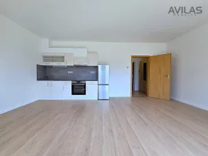 Pronájem bytu 1+kk, Benešov, 102. pluku, 38 m2