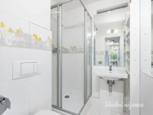 Pronájem bytu 1+kk, Praha - Karlín, Molákova, 28 m2