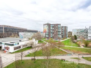 Pronájem bytu 1+kk, Praha - Karlín, Molákova, 28 m2