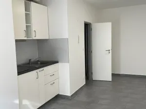 Pronájem bytu 1+kk, Brno, Křenová, 25 m2