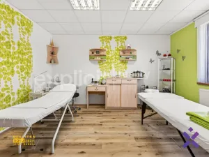 Prodej rodinného domu, Napajedla, Žerotínova, 239 m2