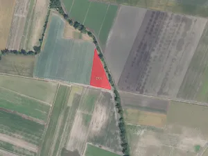 Prodej pole, Přerov nad Labem, 46216 m2