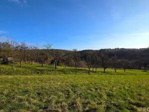 Prodej zahrady, Vyškov, 330 m2