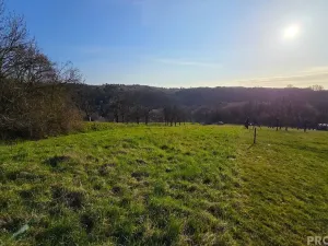 Prodej zahrady, Vyškov, 558 m2