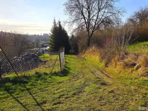 Prodej zahrady, Vyškov, 558 m2