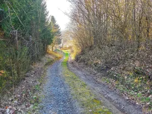 Prodej zahrady, Vyškov, 558 m2