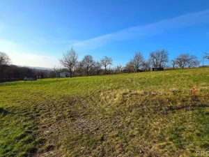 Prodej zahrady, Vyškov, 558 m2