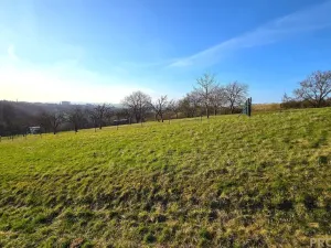 Prodej zahrady, Vyškov, 558 m2