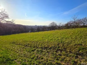 Prodej zahrady, Vyškov, 558 m2