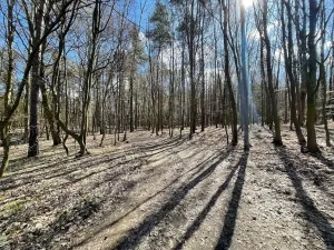 Prodej pozemku pro bydlení, Morašice, 870 m2